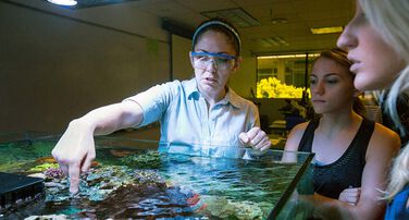 Biodesign Center for Environmental Health Engineering